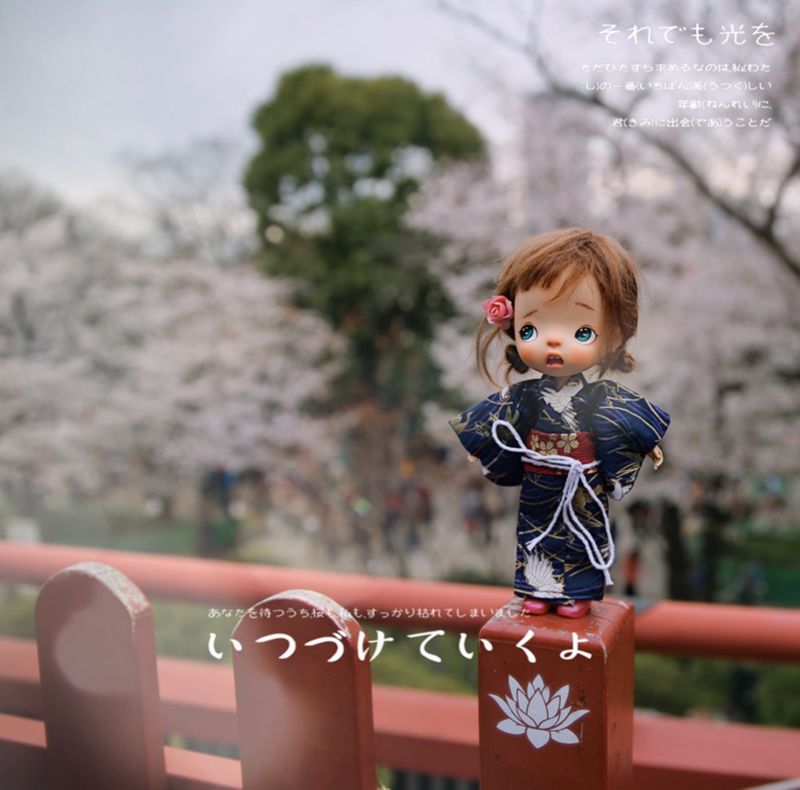 1/8 1/6 1/4 1/3 BJD Japanese k - Japanese Lifestyle Shoes recension och pris
